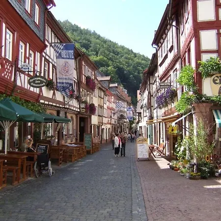 Kathy Apartament Vielbrunn