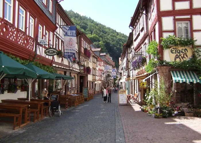 Kathy Apartment Vielbrunn